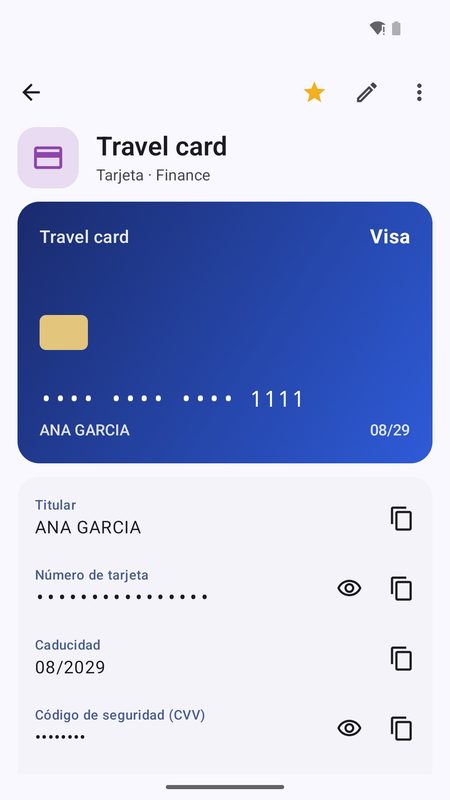 1B Pass: Tarjetas de pago