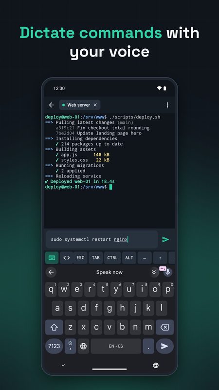 1B Terminal: Dictate commands with your voice