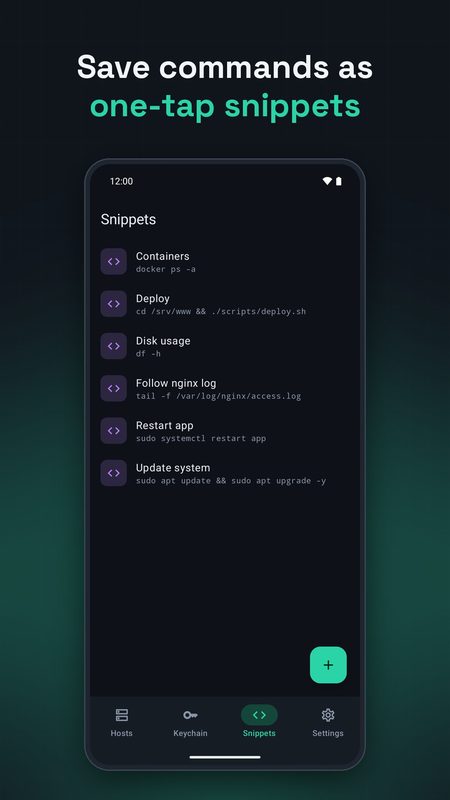 1B Terminal: One-tap snippets