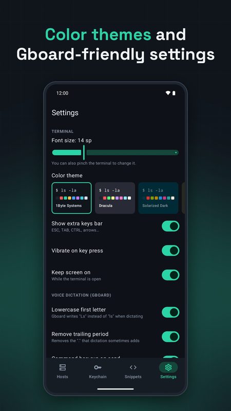1B Terminal: Themes and settings
